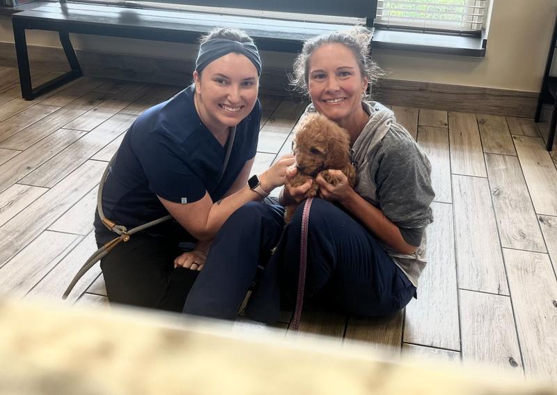 Carousel Slide 5: Ashley and Jenny - Tritt Animal Hospital vet technicians